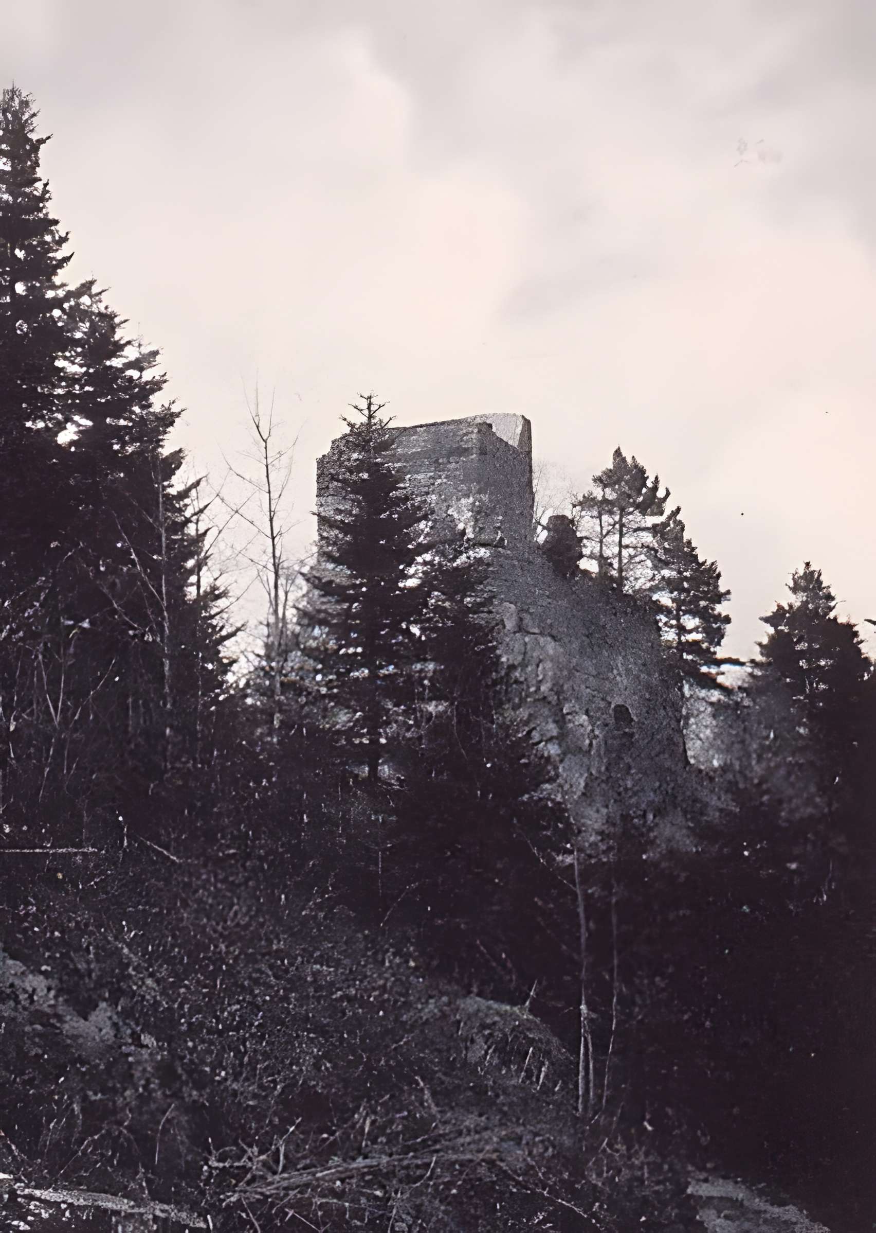 Château de Bilstein 