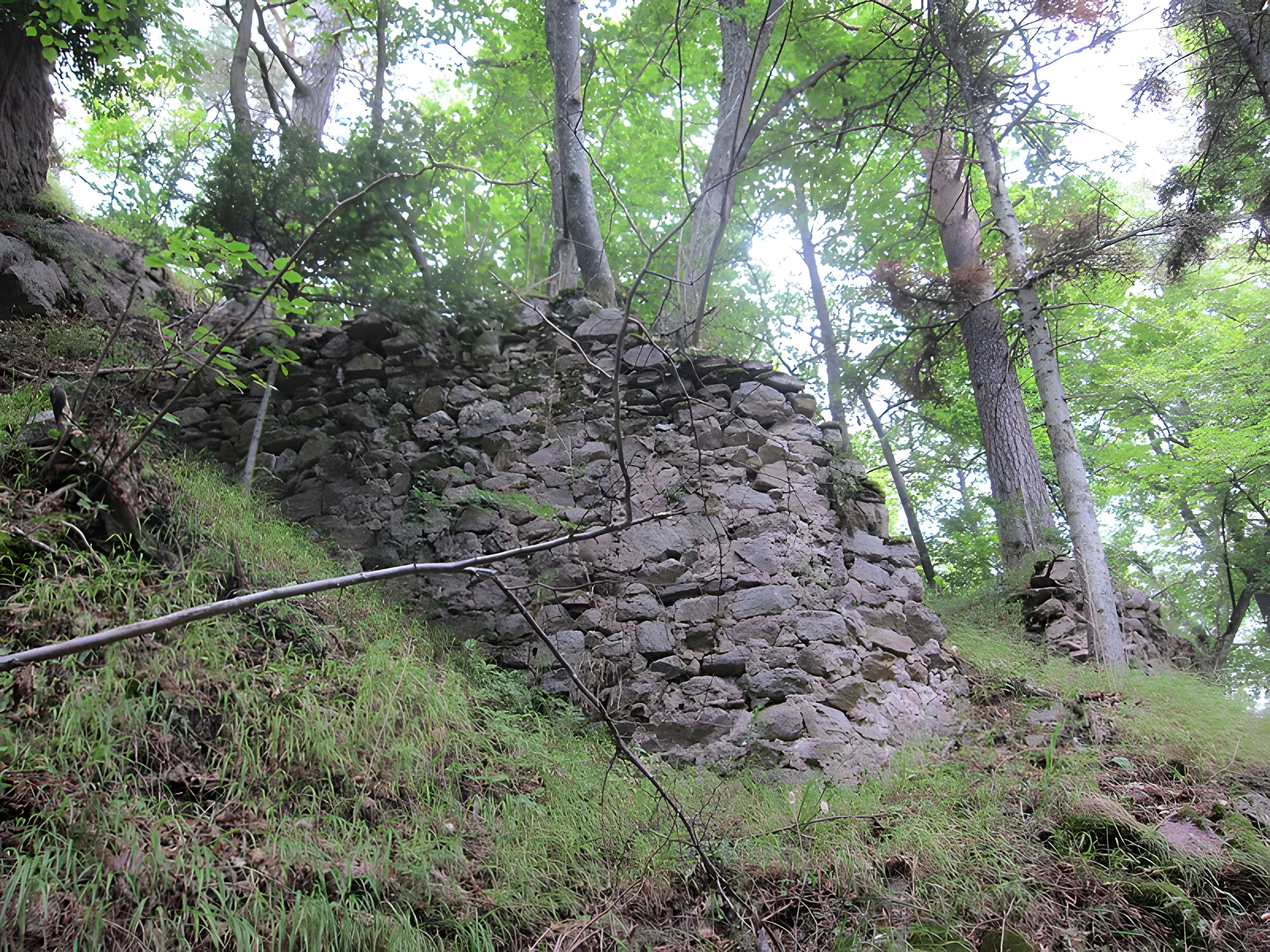 Château de Bilstein