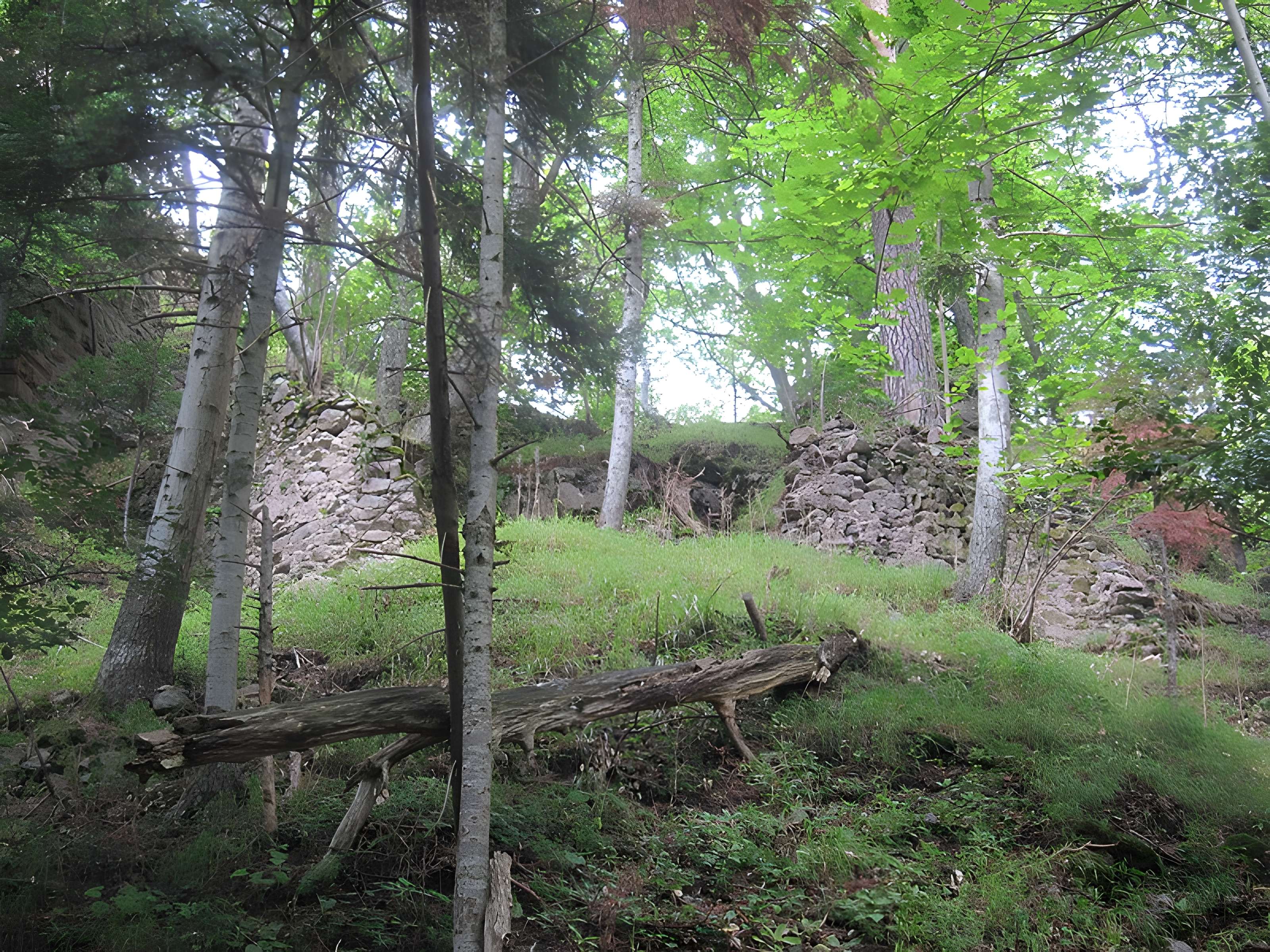 Château de Bilstein