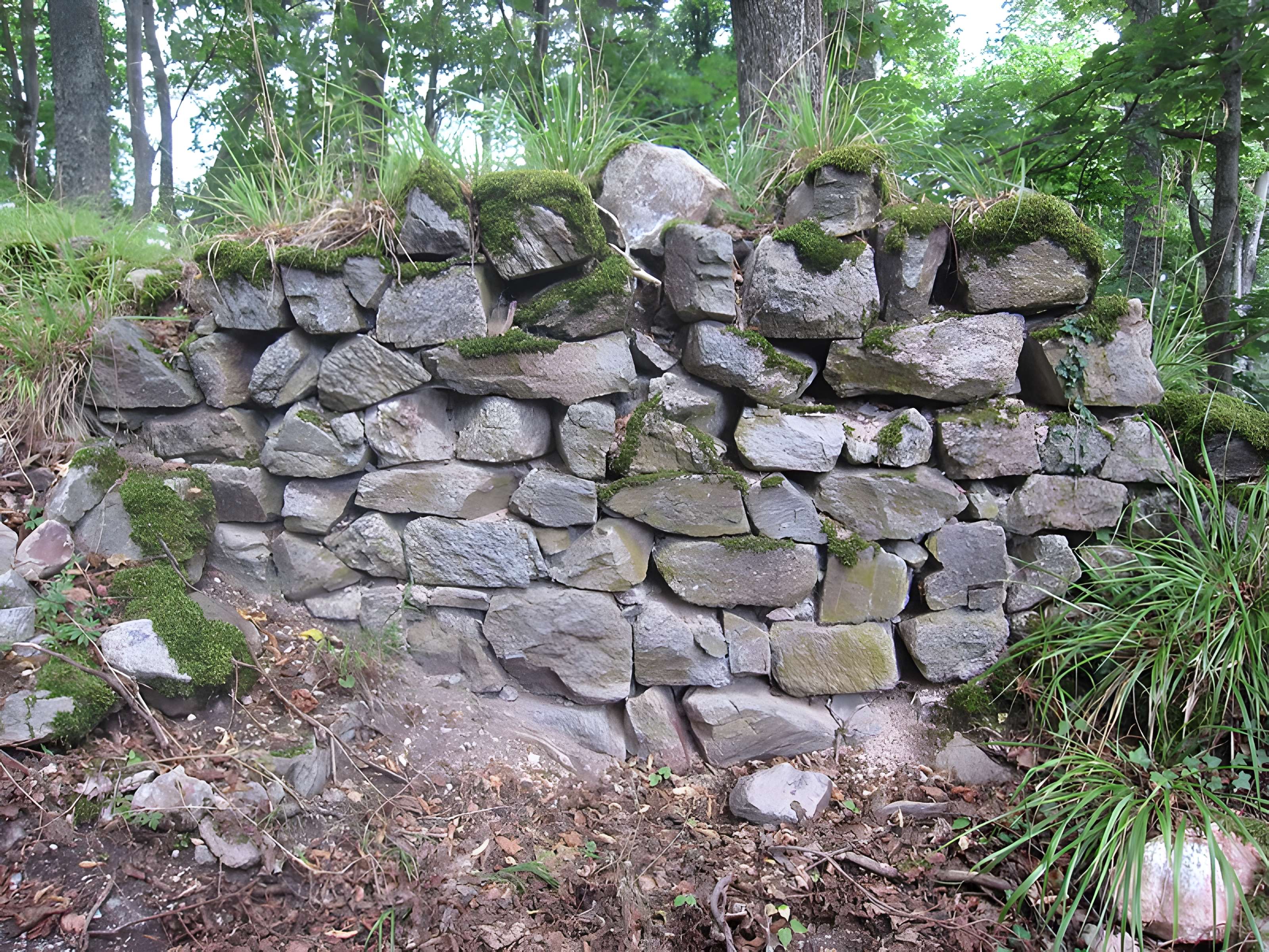 Château de Bilstein