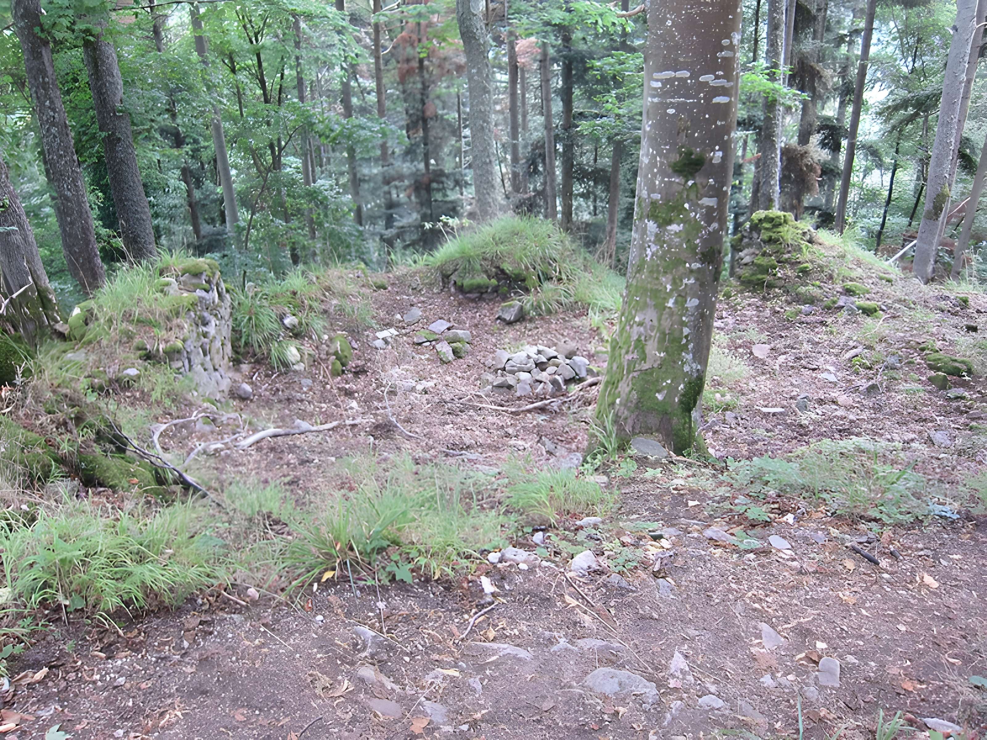 Château de Bilstein