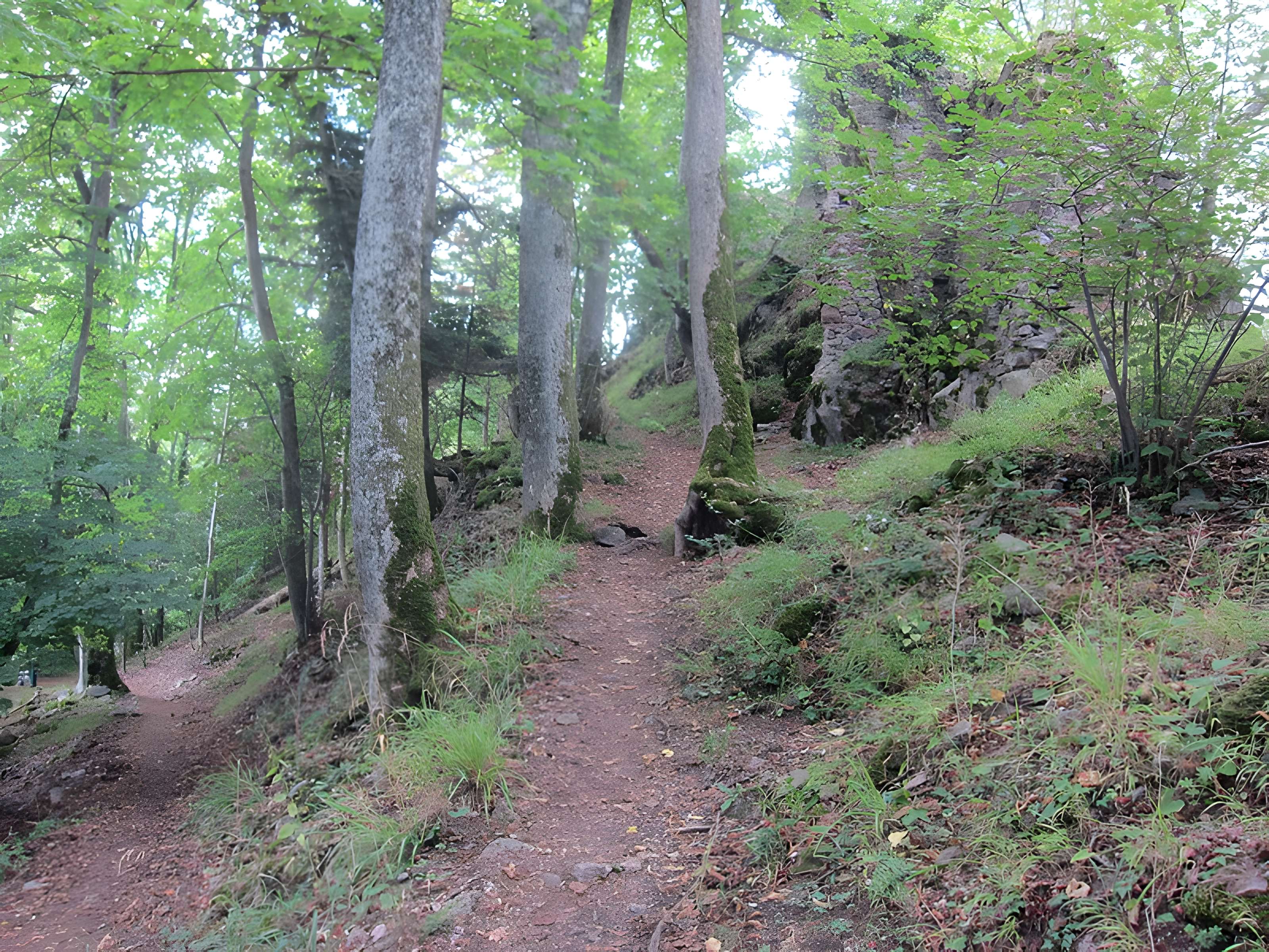 Château de Bilstein