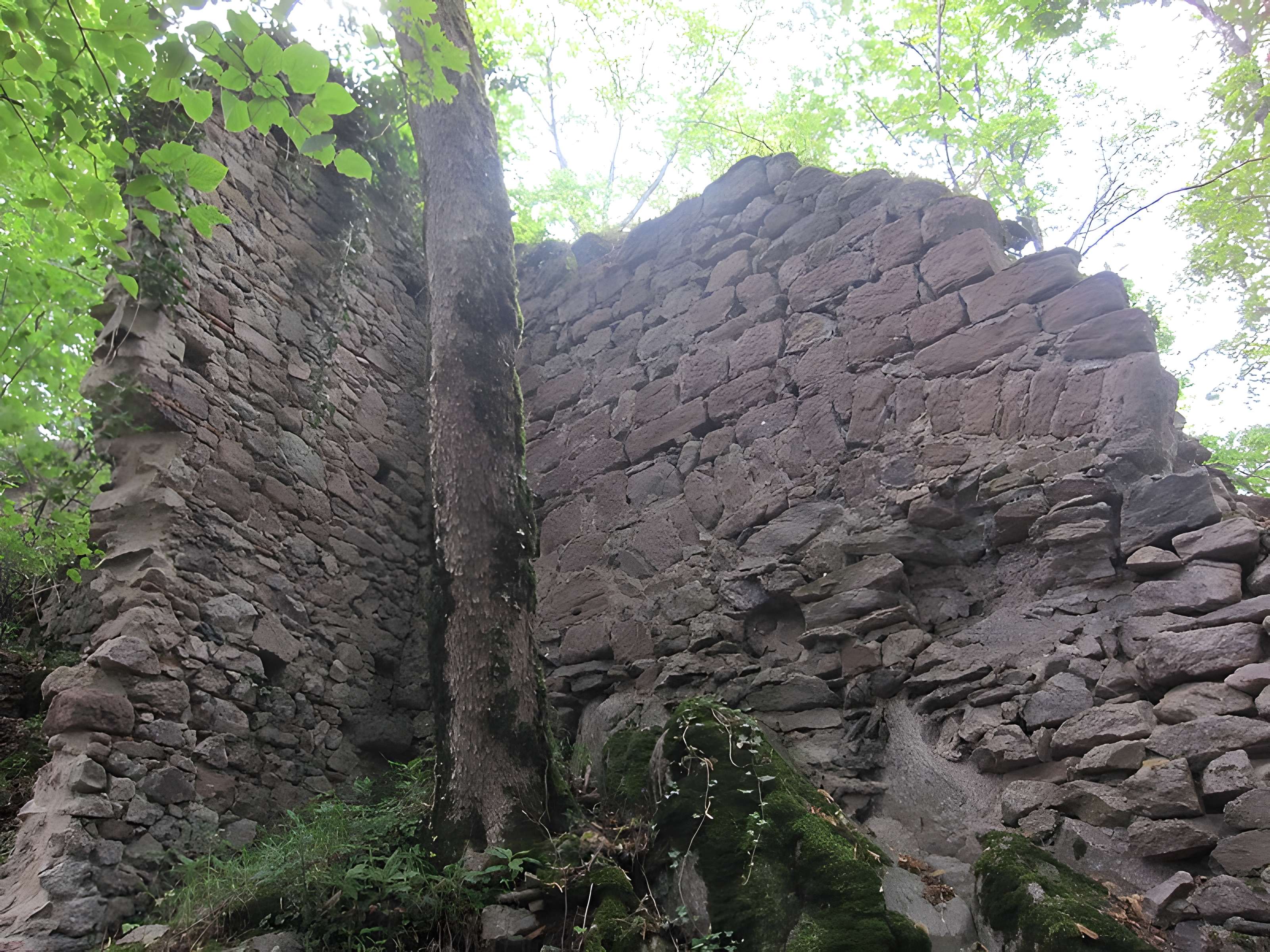 Château de Bilstein