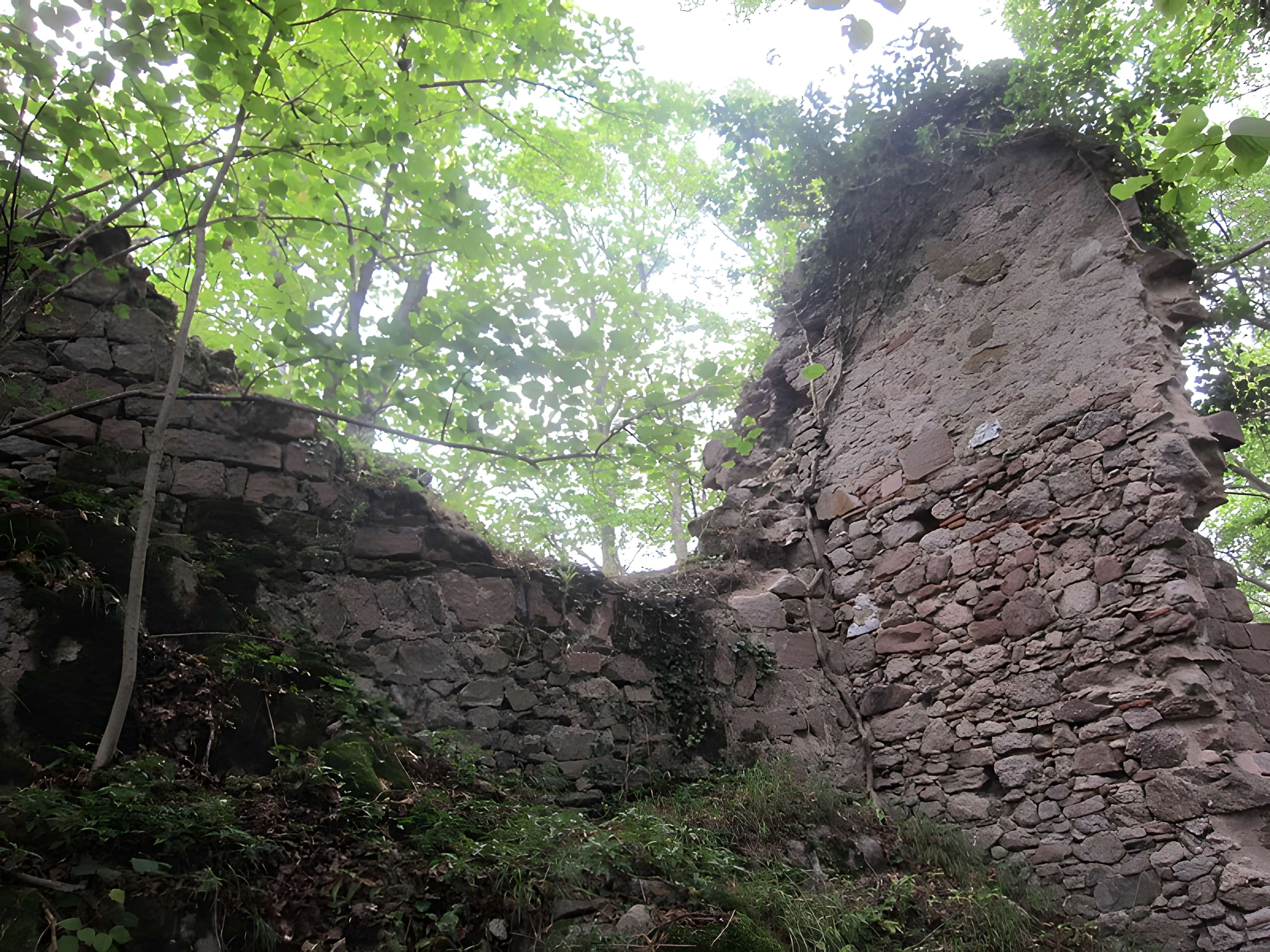 Château de Bilstein