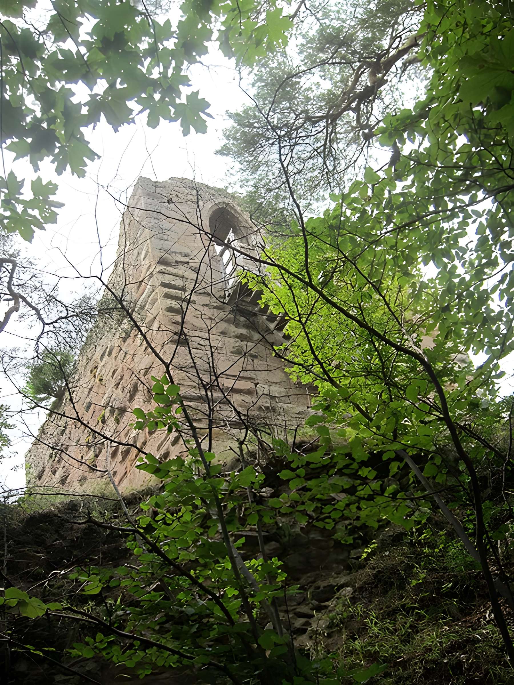 Château de Bilstein