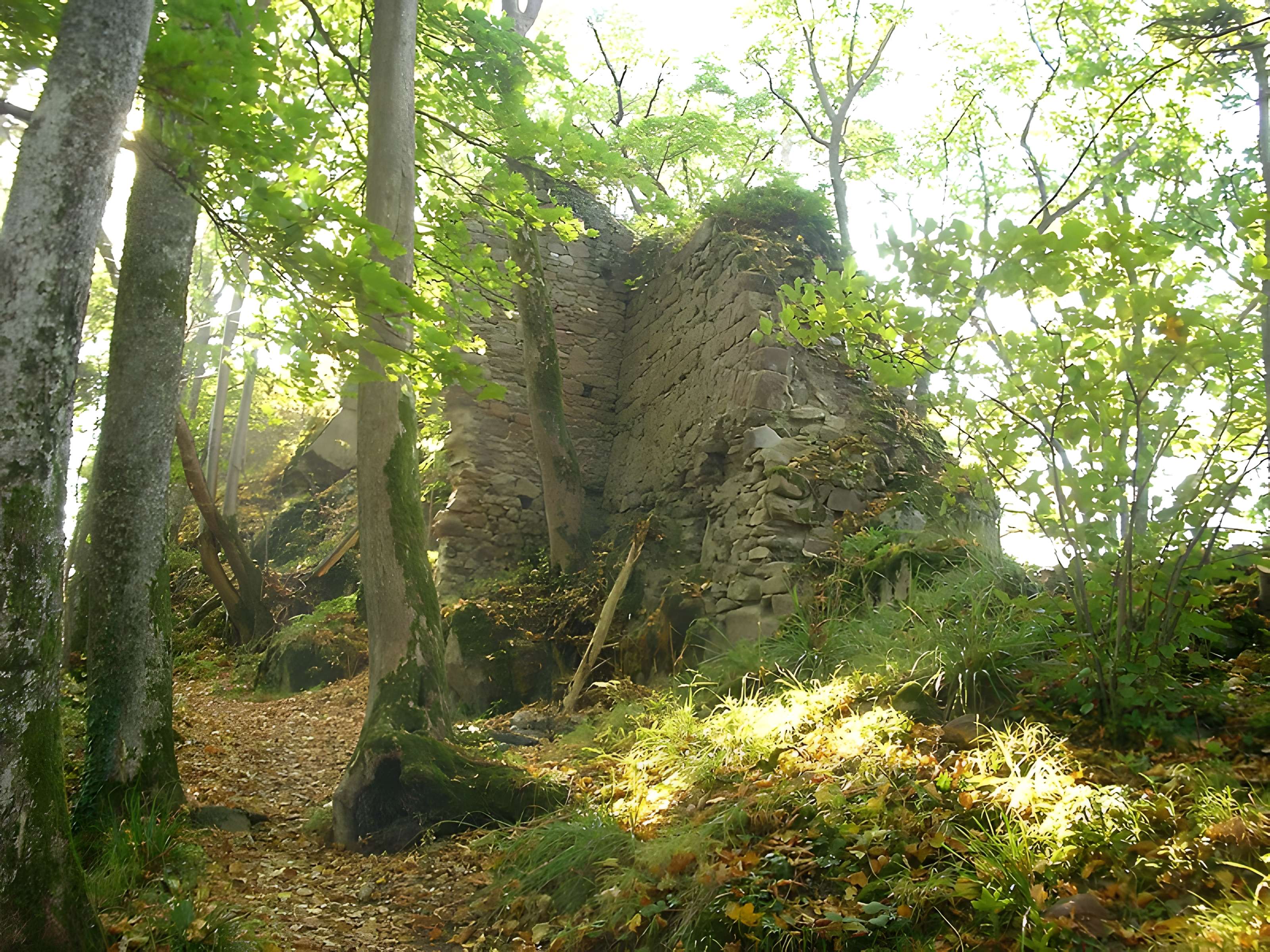 Château de Bilstein