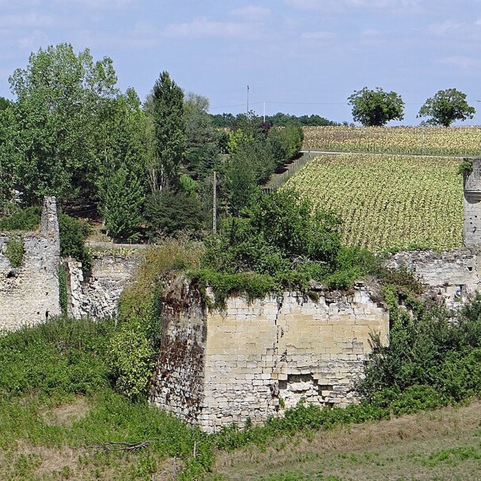 Photo de Château de Birac