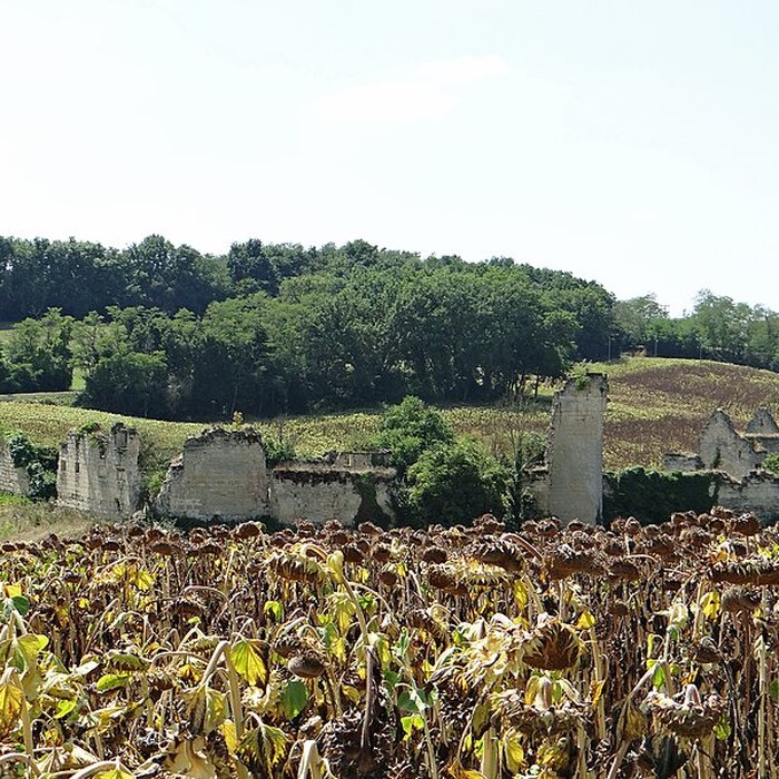 Photo de Château de Birac