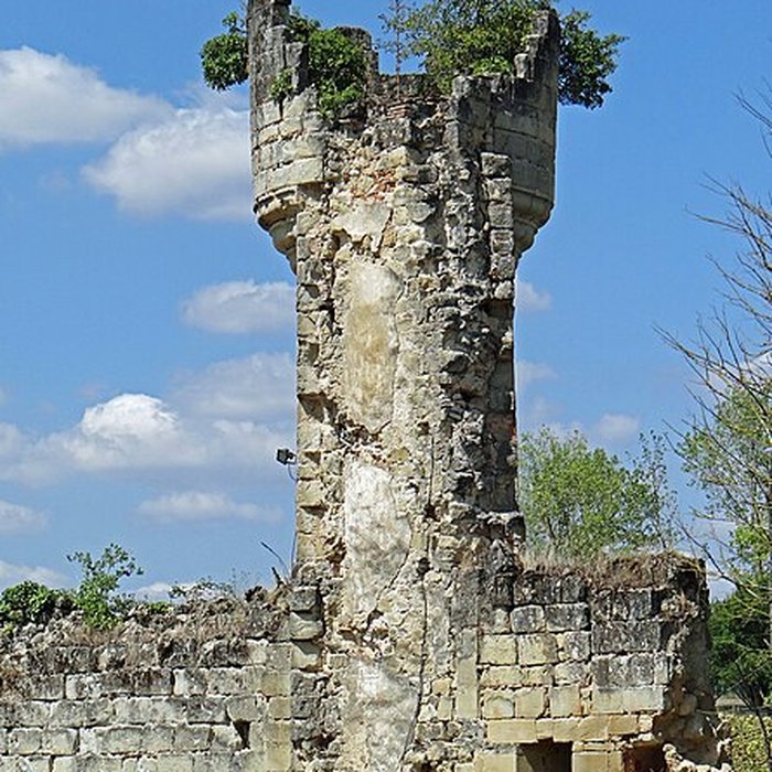 Photo de Château de Birac