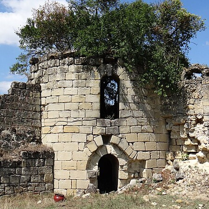 Photo de Château de Birac