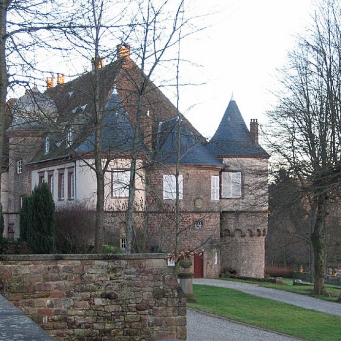 Photo de Château de Birkenwald