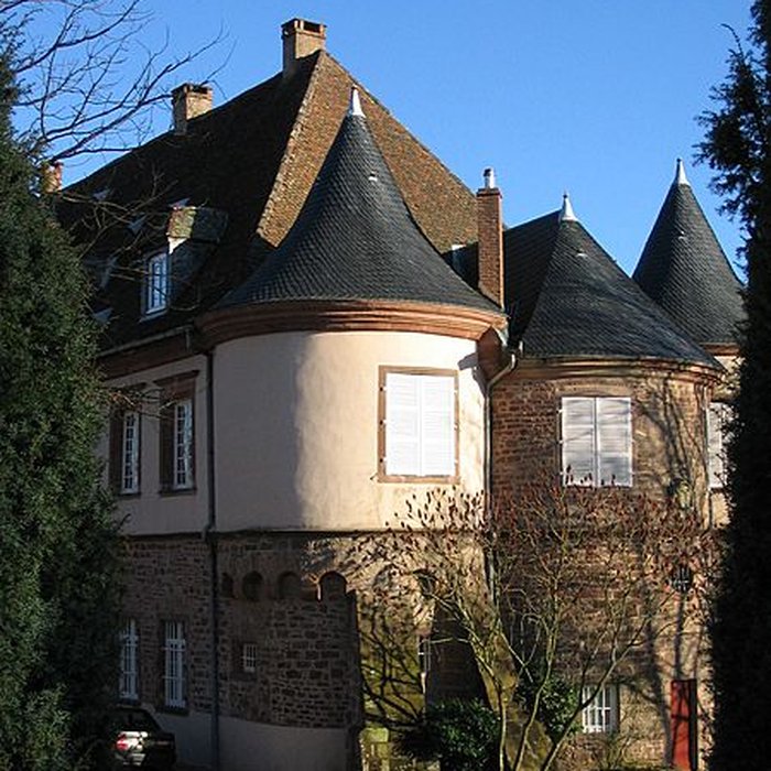 Photo de Château de Birkenwald