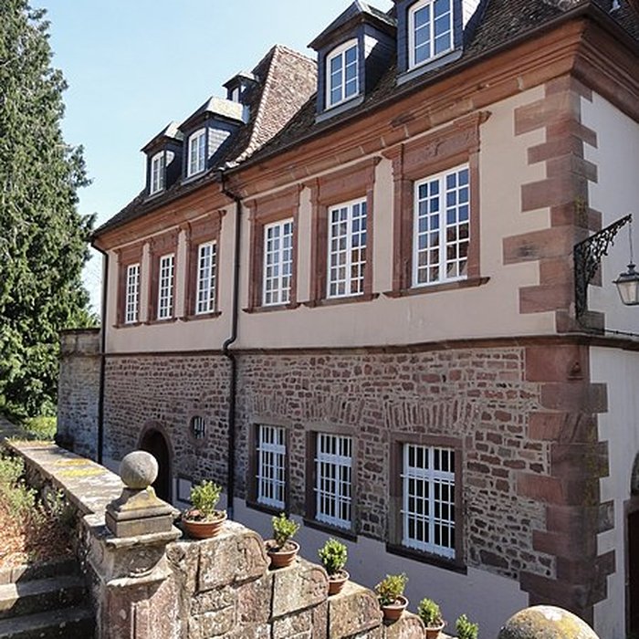 Photo de Château de Birkenwald