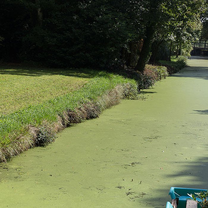 Photo de Château de Blossac