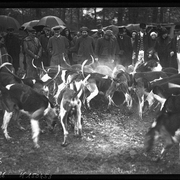 Photo de Château de Bonnelles