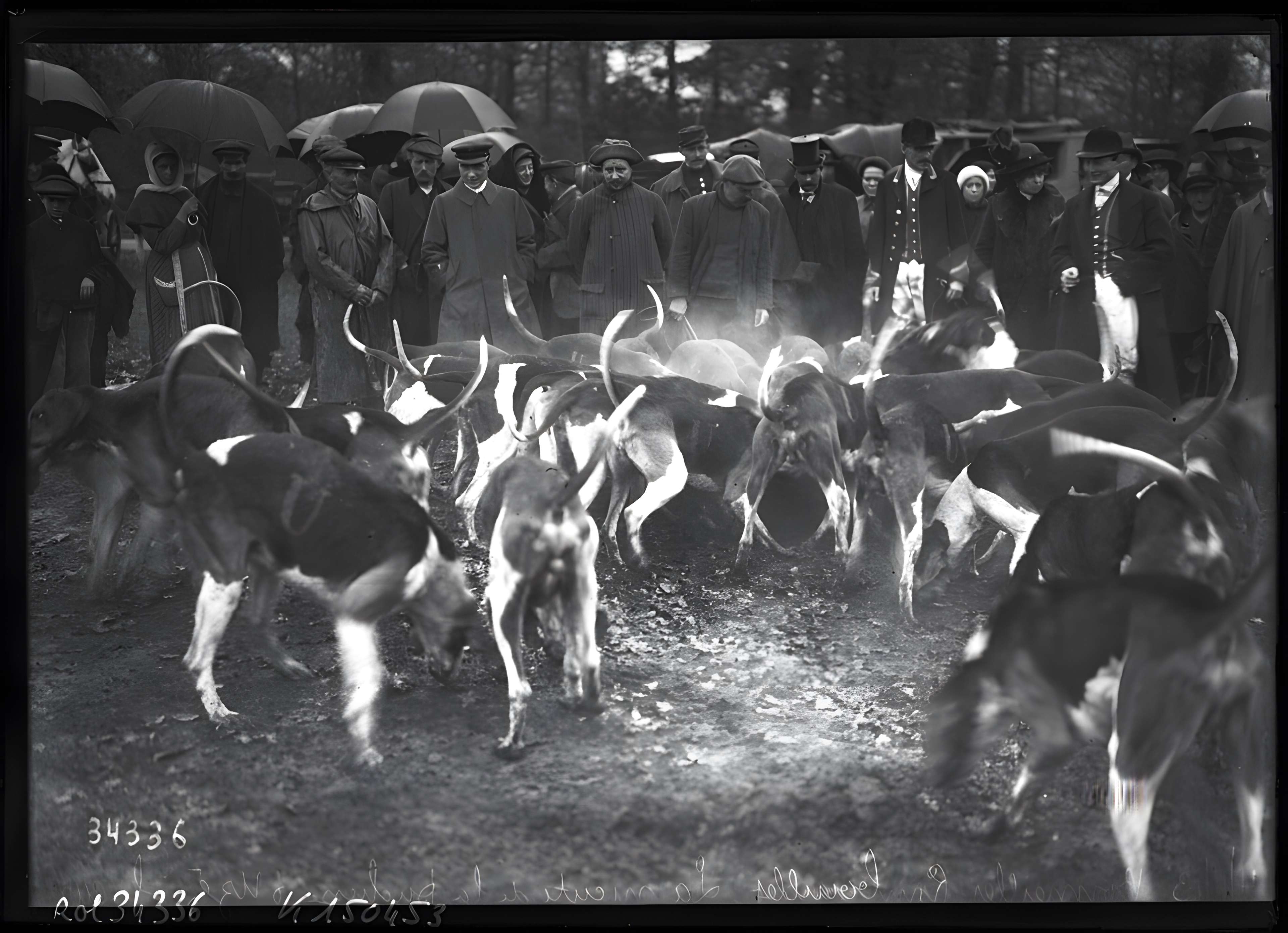 Château de Bonnelles