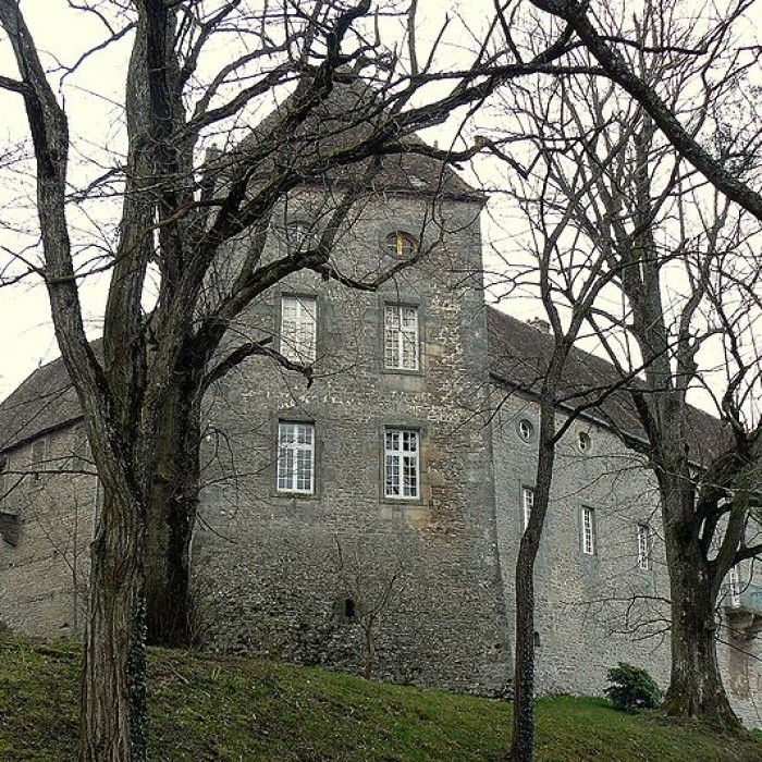 Photo de Château de Brandon