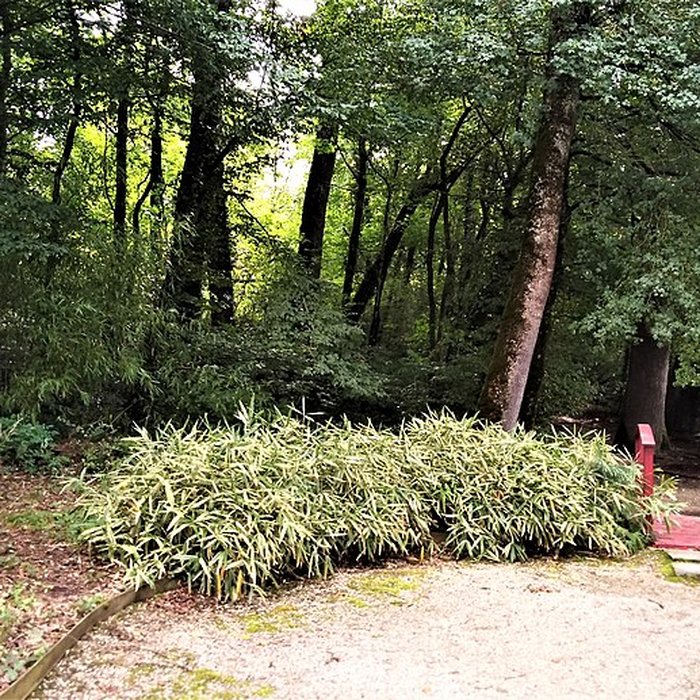 Photo de Château de Brangues