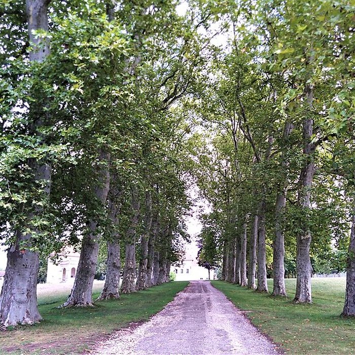 Photo de Château de Brangues