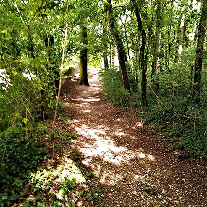 Photo de Château de Brangues