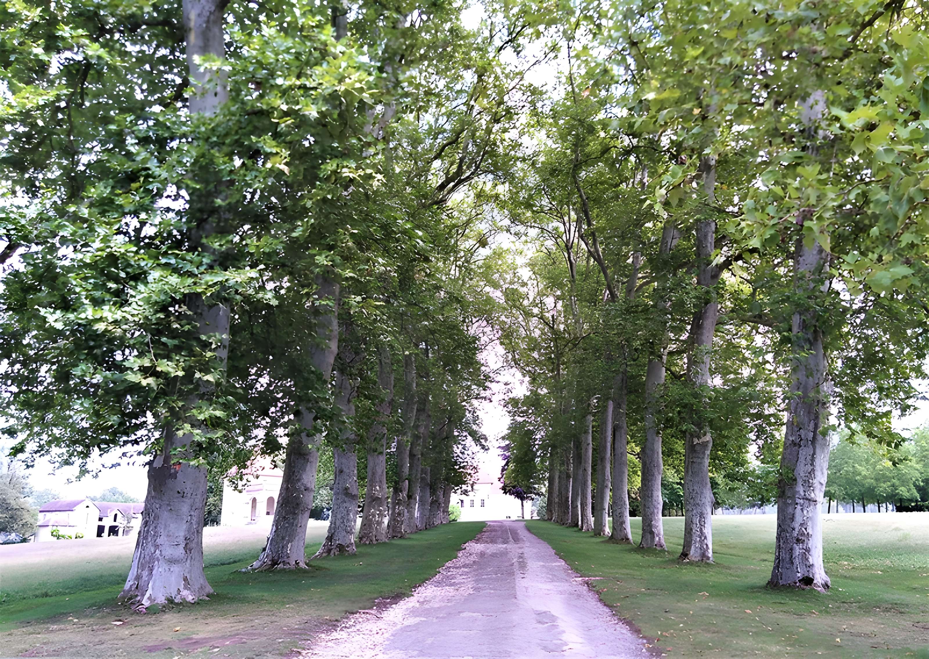 Château de Brangues