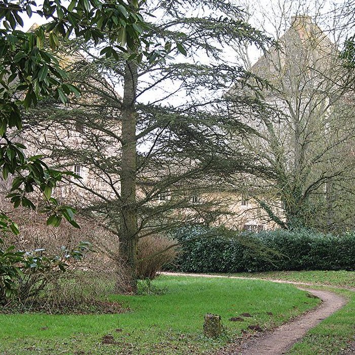 Photo de Château de Buffières