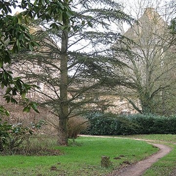 chateau de buffieres