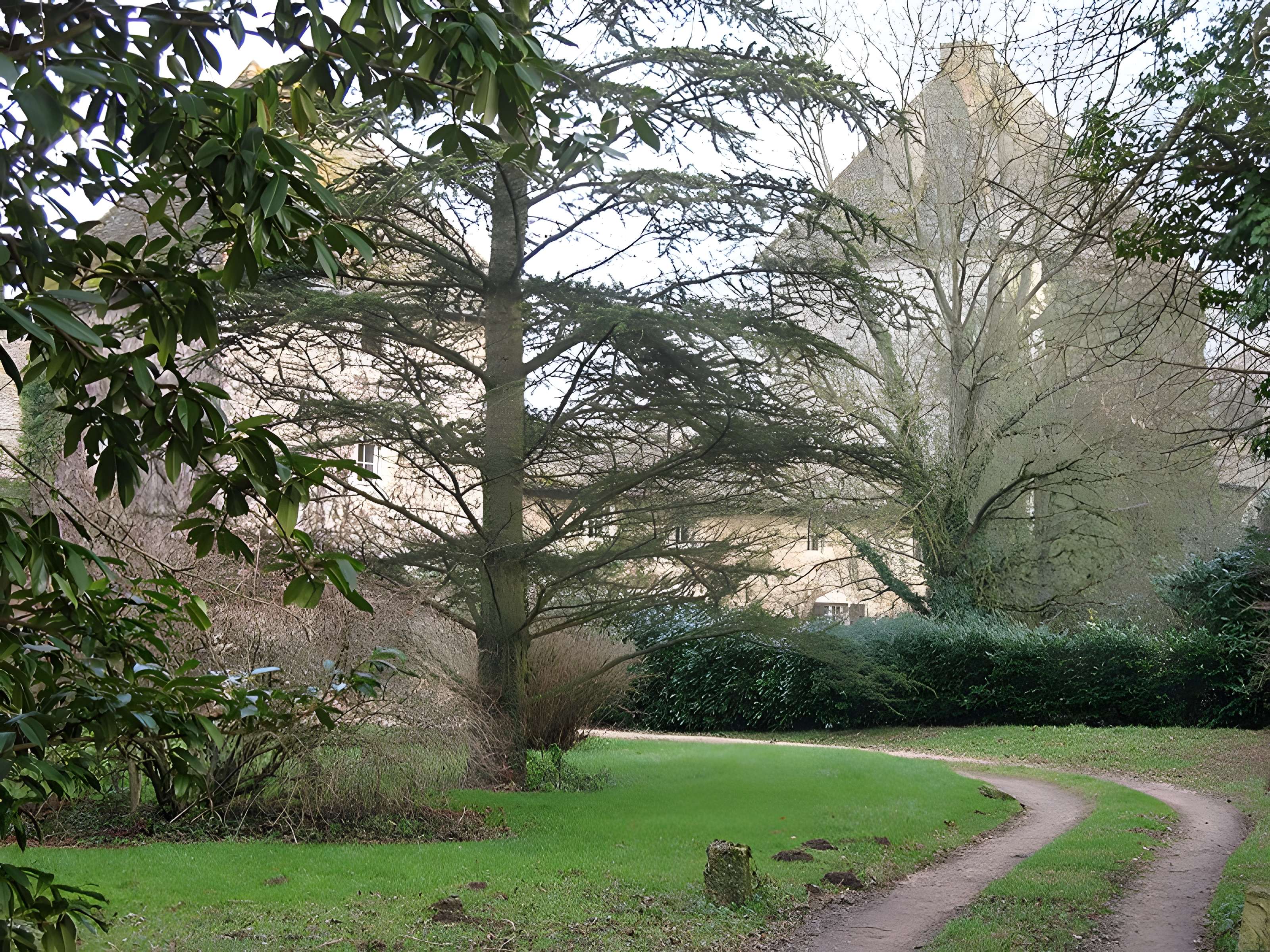 Château de Buffières