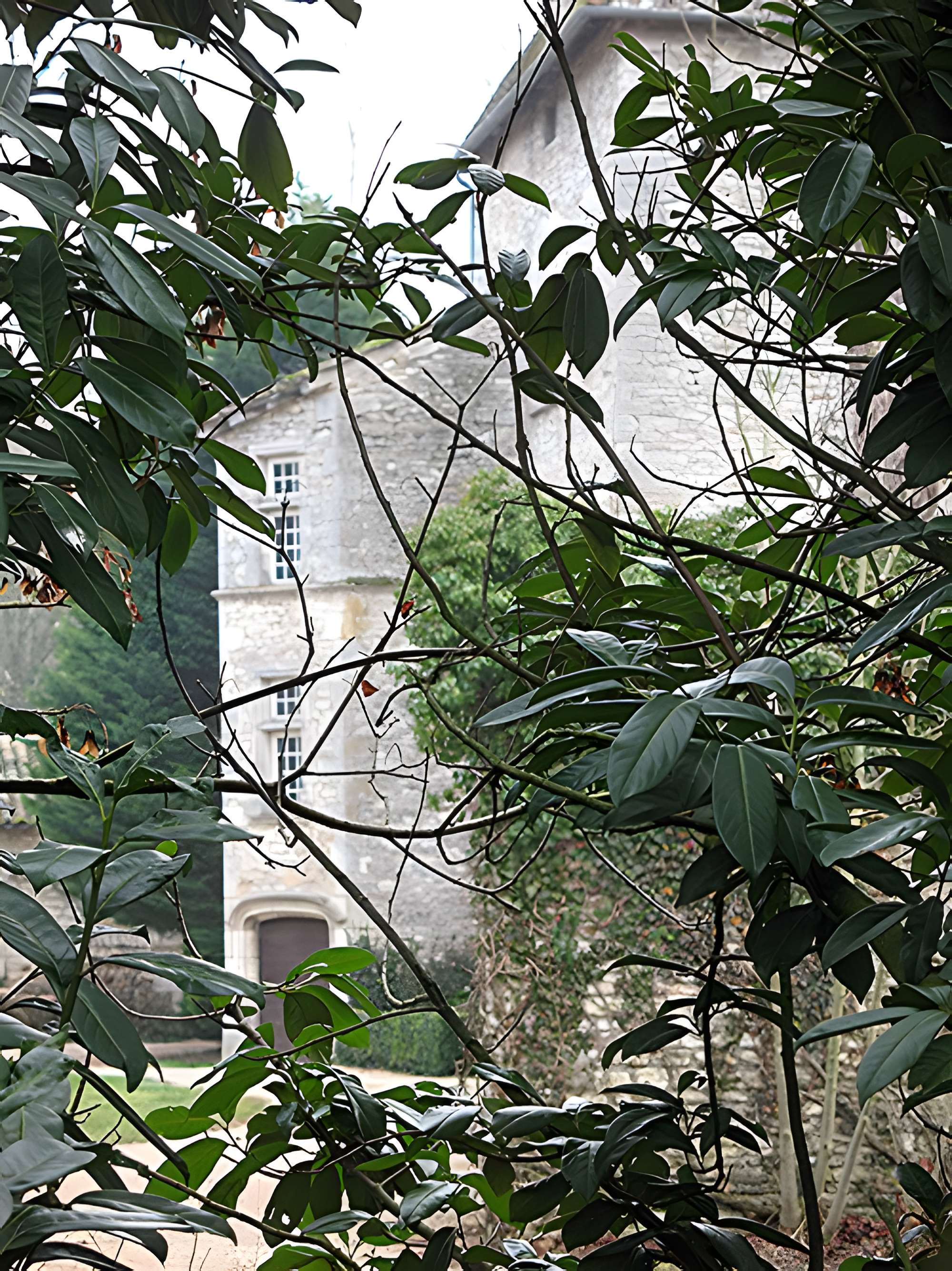 Château de Buffières