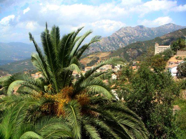 Photo de Église San Martinu de Cuttoli-Corticchiato