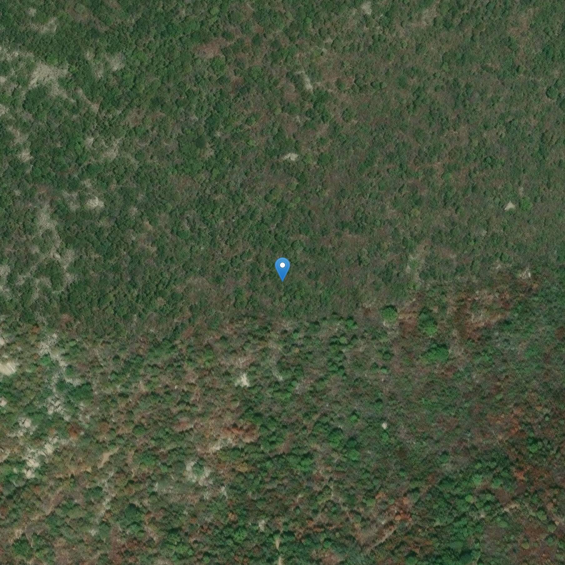 Photo de 莫纳西亚-德奥莱恩圣尼古拉教堂