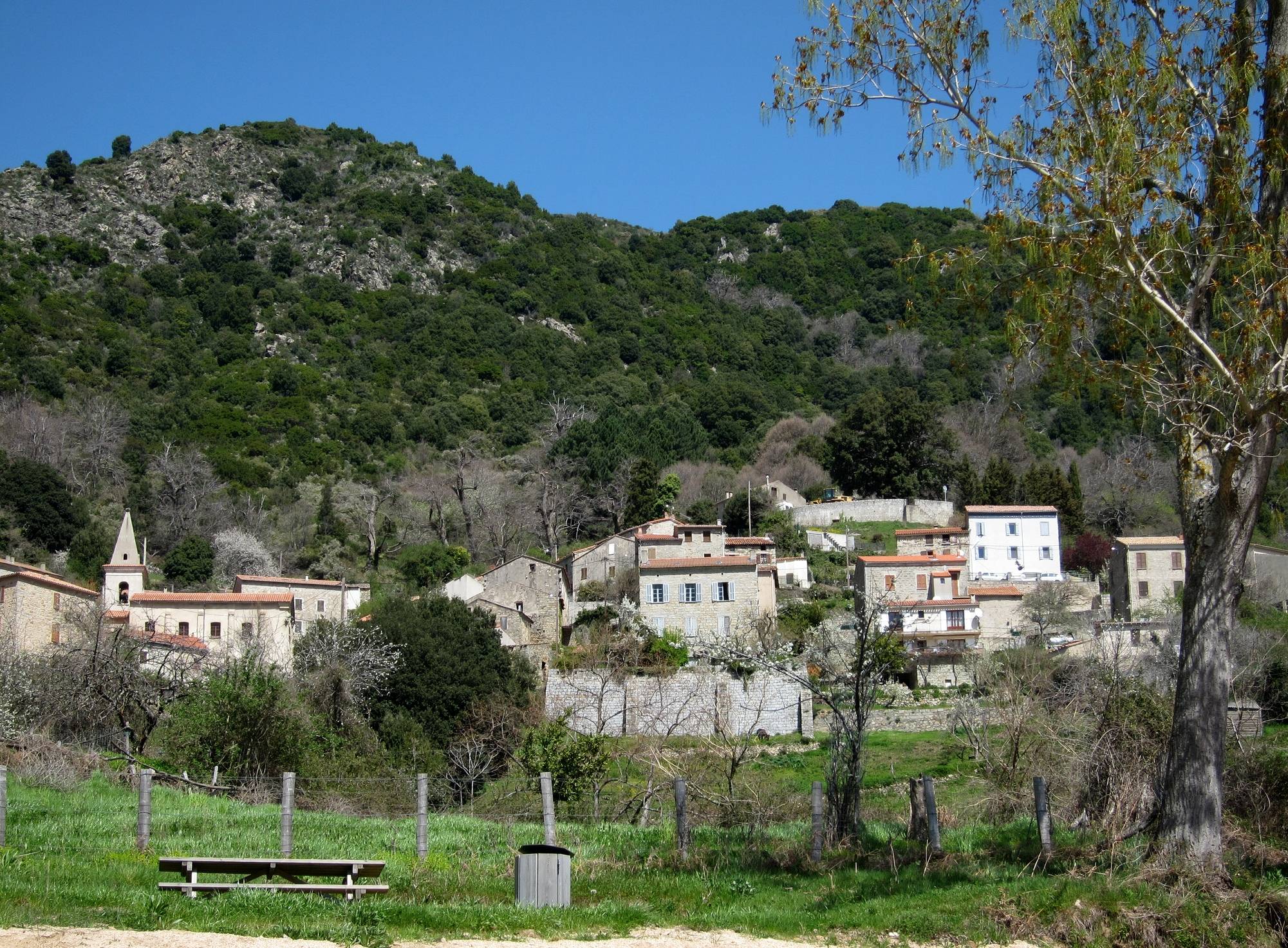 Photo de Église Saint-Léonard de Tolla