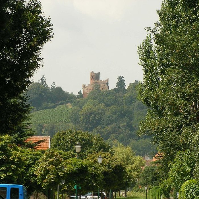 Photo de Château de Kintzheim