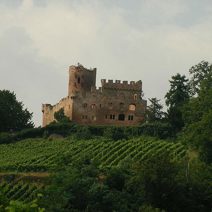 Photo de Château de Kintzheim