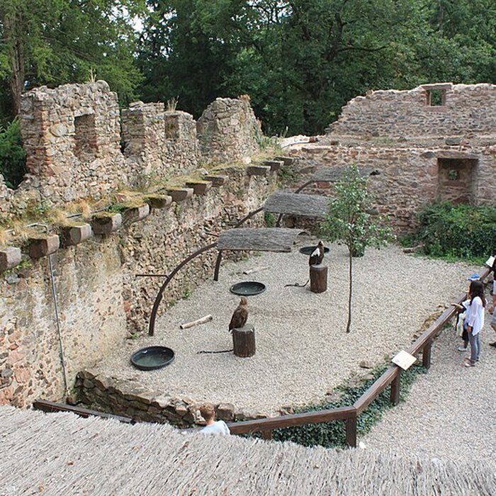 Photo de Château de Kintzheim