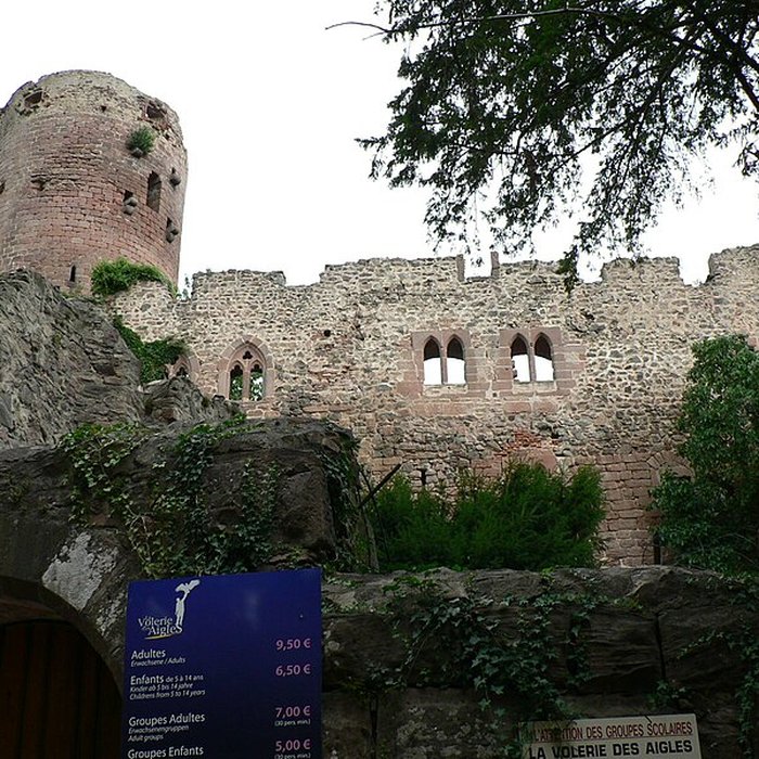 Photo de Château de Kintzheim