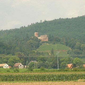 Château de Kintzheim
