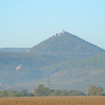 Château de Kintzheim