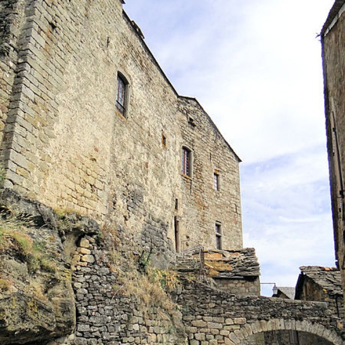 Photo de Château de Castelnau-Pégayrols