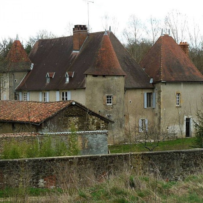 Photo de Château de Chambes