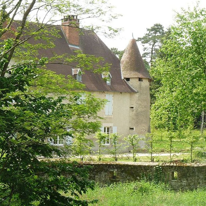 Photo de Château de Chambes