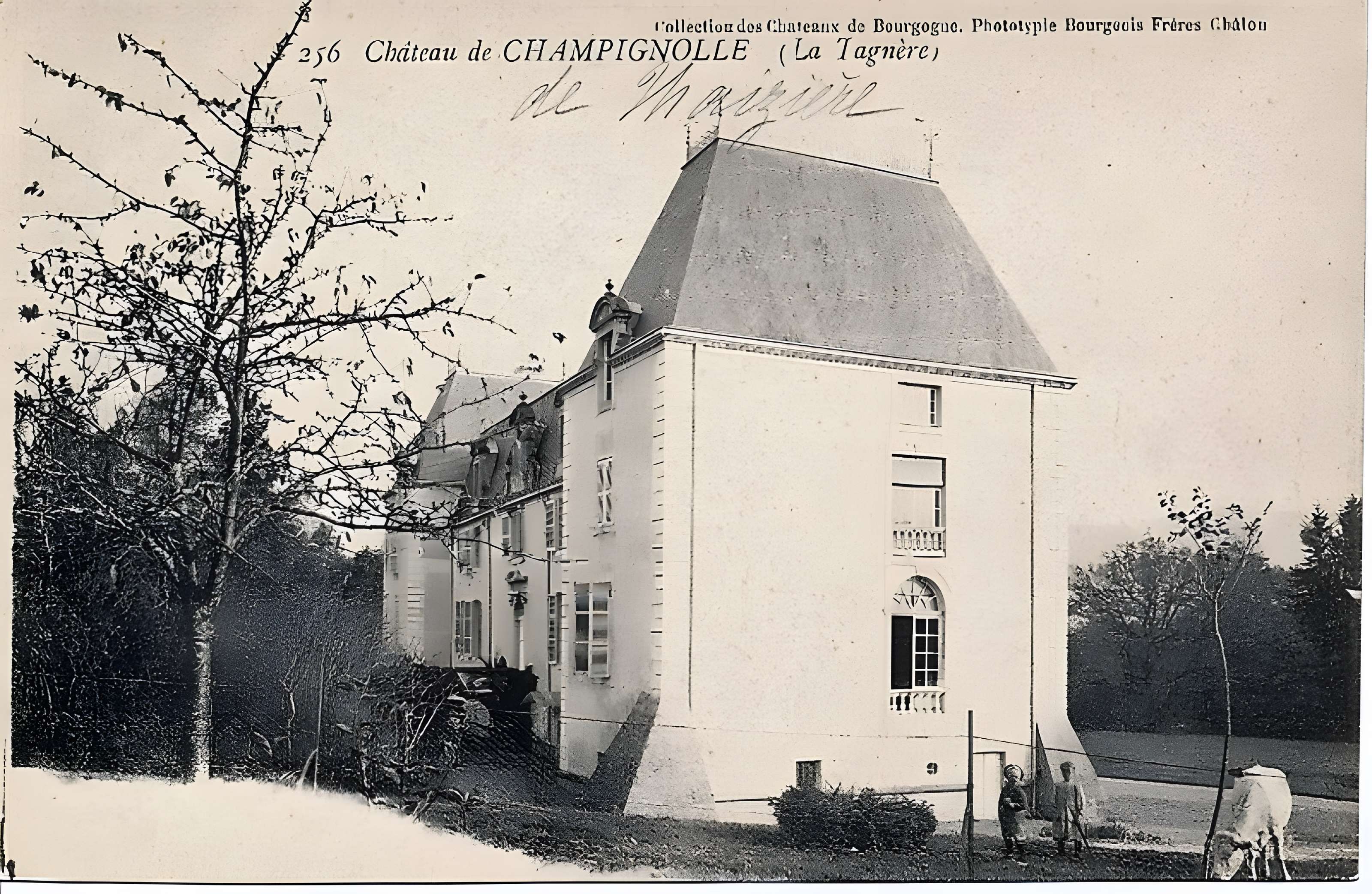 Château de Champignolle