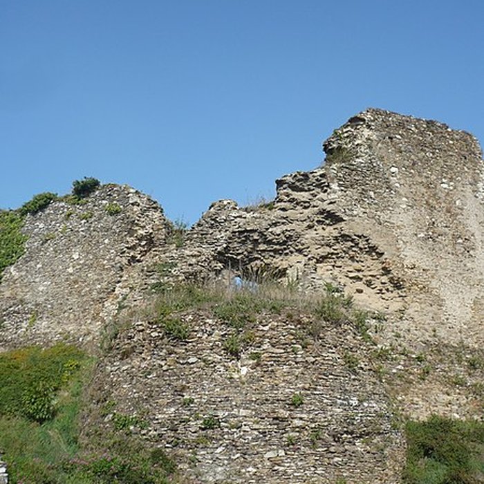 Photo de Château de Champtocé