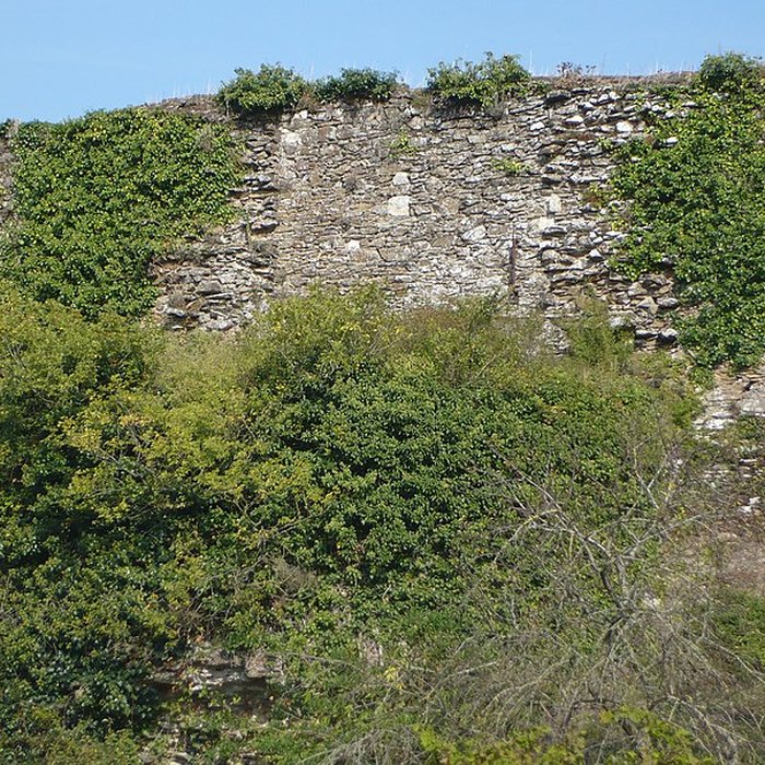 Photo de Château de Champtocé
