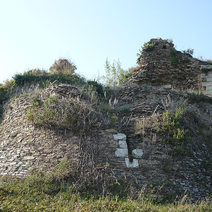 Photo de Château de Champtocé