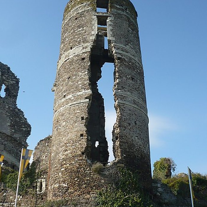 Photo de Château de Champtocé