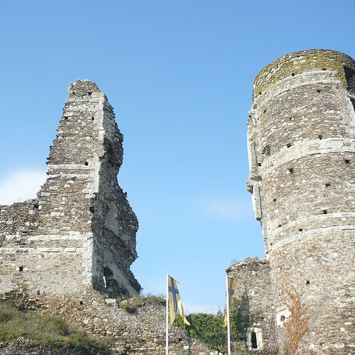 Photo de Château de Champtocé