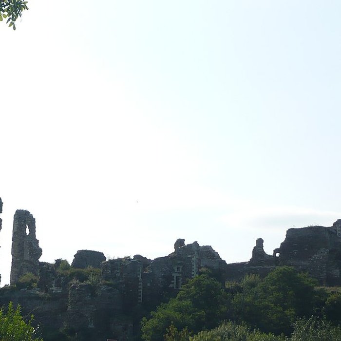 Photo de Château de Champtocé