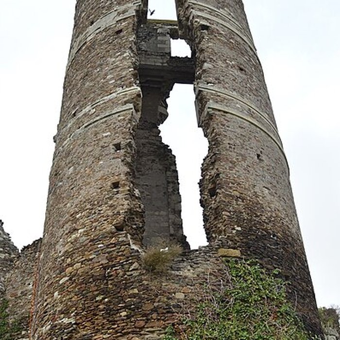 Photo de Château de Champtocé