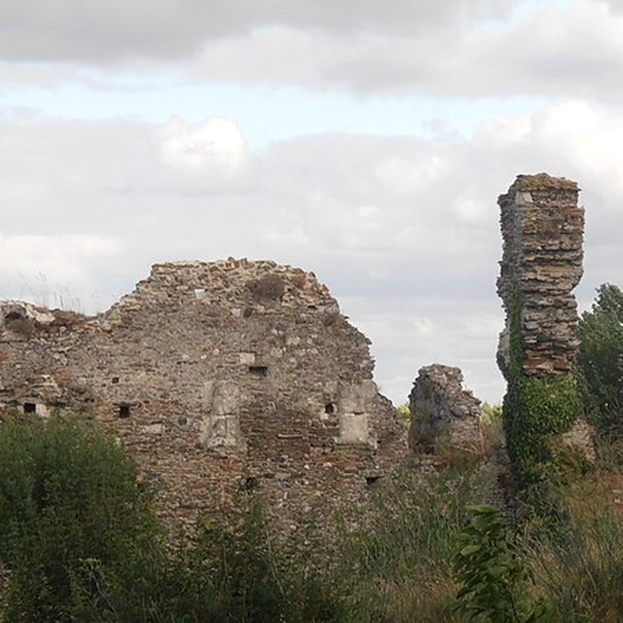 Photo de Château de Champtocé
